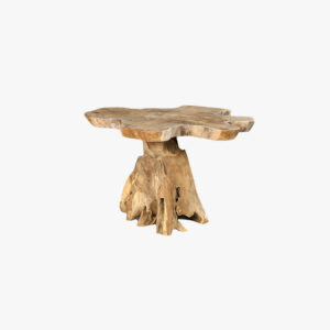 SALONTAFEL TEAK UNIEK